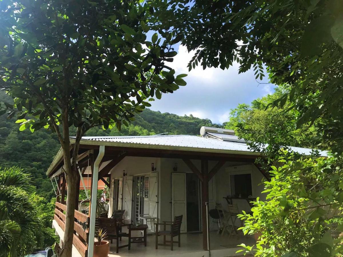 Villa Philexiane เลอ ดีอามงต์ ภายนอก รูปภาพ